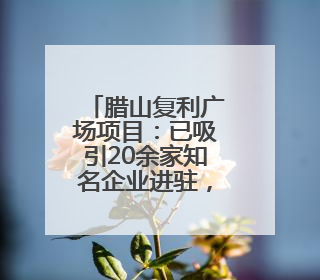 腊山复利广场项目：已吸引20余家知名企业进驻，整体招商率70%