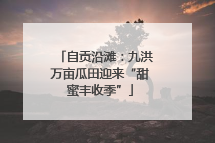 自贡沿滩：九洪万亩瓜田迎来“甜蜜丰收季”