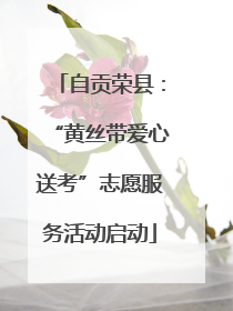自贡荣县：“黄丝带爱心送考”志愿服务活动启动