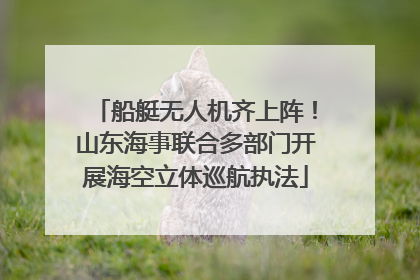 船艇无人机齐上阵！山东海事联合多部门开展海空立体巡航执法