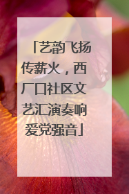 艺韵飞扬传薪火，西厂口社区文艺汇演奏响爱党强音