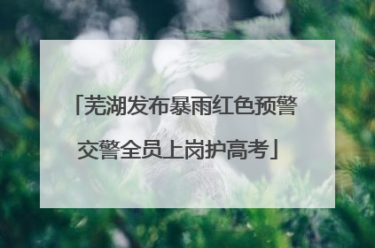 芜湖发布暴雨红色预警 交警全员上岗护高考