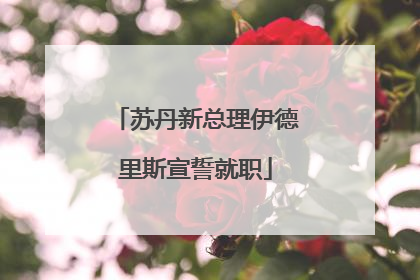 苏丹新总理伊德里斯宣誓就职