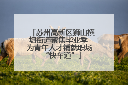 苏州高新区狮山横塘街道聚焦毕业季 为青年人才铺就职场“快车道”