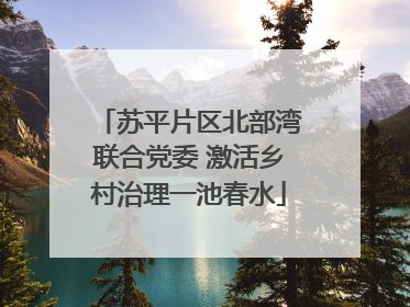 苏平片区北部湾联合党委 激活乡村治理一池春水
