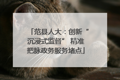 范县人大：创新“沉浸式监督” 精准把脉政务服务堵点