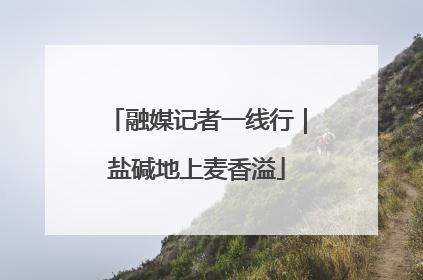 融媒记者一线行｜盐碱地上麦香溢