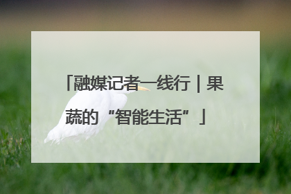 融媒记者一线行｜果蔬的“智能生活”