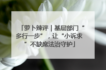 萝卜辣评｜基层部门“多行一步”，让“小诉求”不缺席法治守护