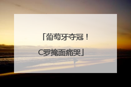 葡萄牙夺冠！C罗掩面痛哭