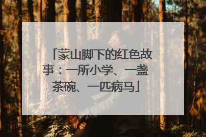 蒙山脚下的红色故事：一所小学、一盏茶碗、一匹病马