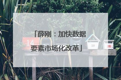 薛刚：加快数据要素市场化改革