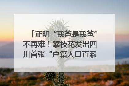 证明“我爸是我爸”不再难！攀枝花发出四川首张“户籍人口直系亲属关系谱”
