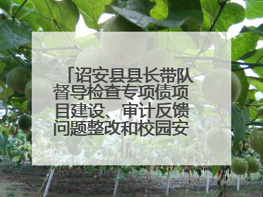 诏安县县长带队督导检查专项债项目建设、审计反馈问题整改和校园安全工作