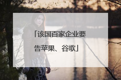 该国百家企业要告苹果、谷歌