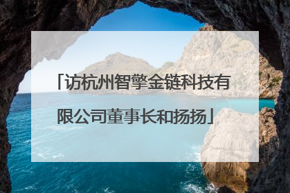 访杭州智擎金链科技有限公司董事长和扬扬