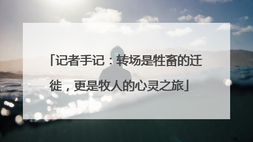记者手记：转场是牲畜的迁徙，更是牧人的心灵之旅