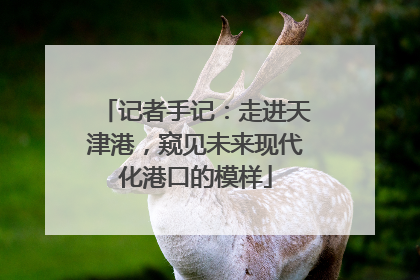 记者手记：走进天津港，窥见未来现代化港口的模样