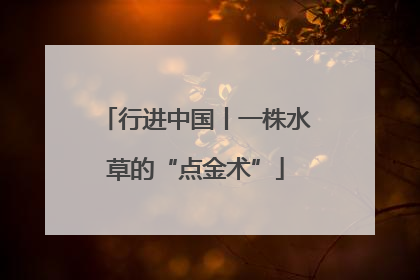 行进中国丨一株水草的“点金术”