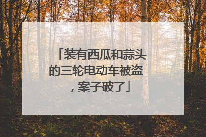 装有西瓜和蒜头的三轮电动车被盗，案子破了