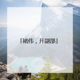 褚伟，升副部