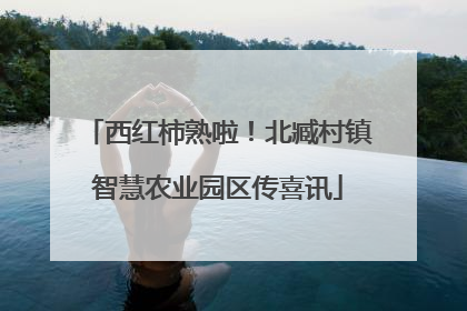 西红柿熟啦！北臧村镇智慧农业园区传喜讯