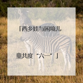 西乡娃与困境儿童共度“六一”