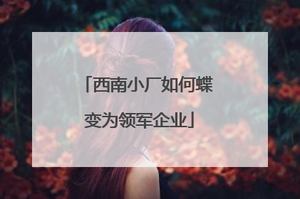 西南小厂如何蝶变为领军企业