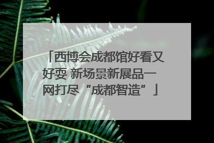 西博会成都馆好看又好耍 新场景新展品一网打尽“成都智造”