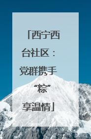 西宁西台社区：党群携手 “粽”享温情