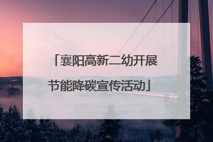 襄阳高新二幼开展节能降碳宣传活动