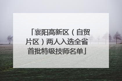 襄阳高新区（自贸片区）两人入选全省首批特级技师名单