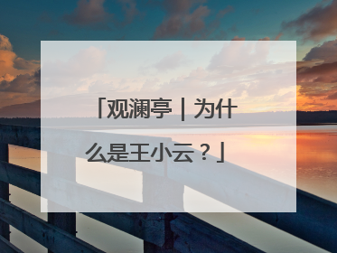 观澜亭｜为什么是王小云？