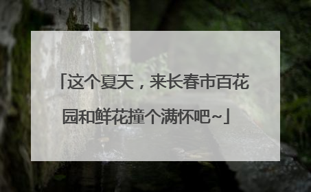 这个夏天，来长春市百花园和鲜花撞个满怀吧~