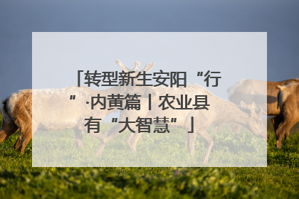 转型新生安阳“行”·内黄篇丨农业县有“大智慧”