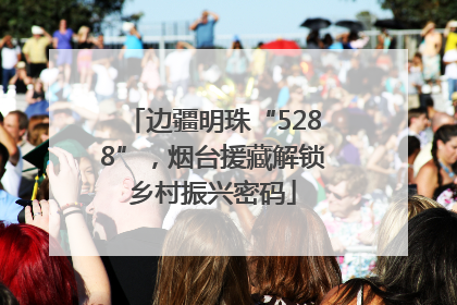 边疆明珠“5288”，烟台援藏解锁乡村振兴密码