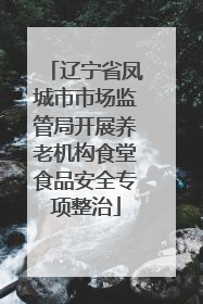 辽宁省凤城市市场监管局开展养老机构食堂食品安全专项整治