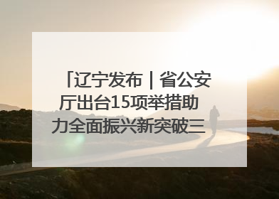 辽宁发布｜省公安厅出台15项举措助力全面振兴新突破三年行动决胜之战
