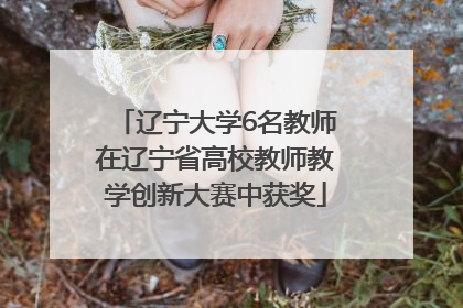 辽宁大学6名教师在辽宁省高校教师教学创新大赛中获奖