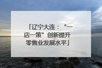 辽宁大连：“一店一策”创新提升零售业发展水平