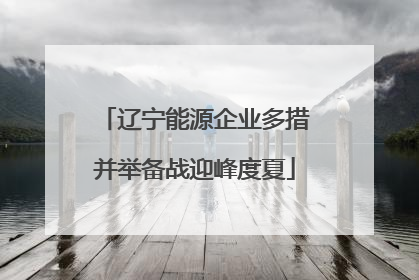 辽宁能源企业多措并举备战迎峰度夏