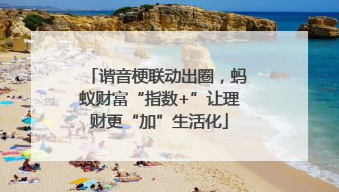 谐音梗联动出圈，蚂蚁财富“指数+”让理财更“加”生活化