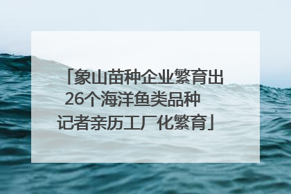 象山苗种企业繁育出26个海洋鱼类品种 记者亲历工厂化繁育