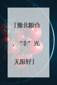 豫北粮仓，“丰”光无限好