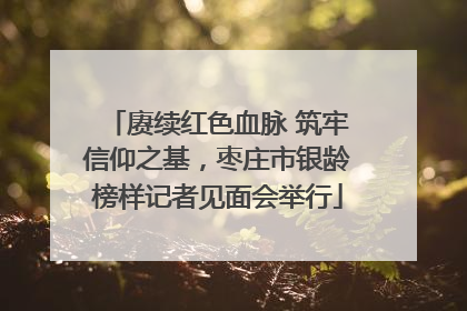 赓续红色血脉 筑牢信仰之基，枣庄市银龄榜样记者见面会举行