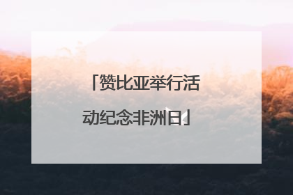 赞比亚举行活动纪念非洲日