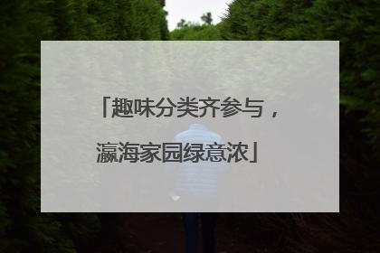 趣味分类齐参与，瀛海家园绿意浓