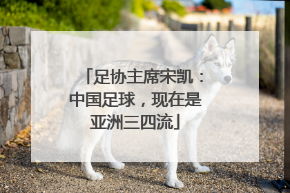 足协主席宋凯：中国足球，现在是亚洲三四流