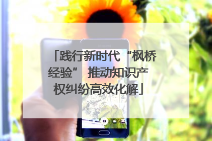 践行新时代“枫桥经验” 推动知识产权纠纷高效化解
