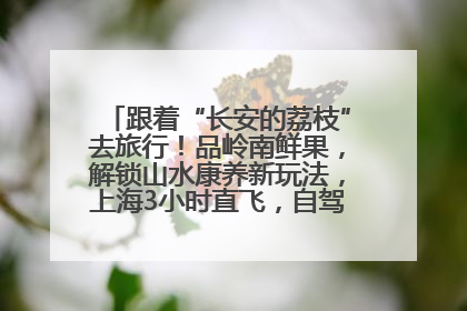 跟着“长安的荔枝”去旅行！品岭南鲜果，解锁山水康养新玩法，上海3小时直飞，自驾高速费优惠